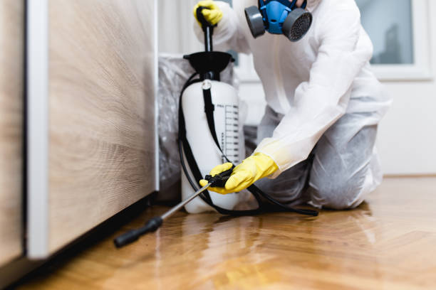Best Pest Control Near Me  in Seymour, TX