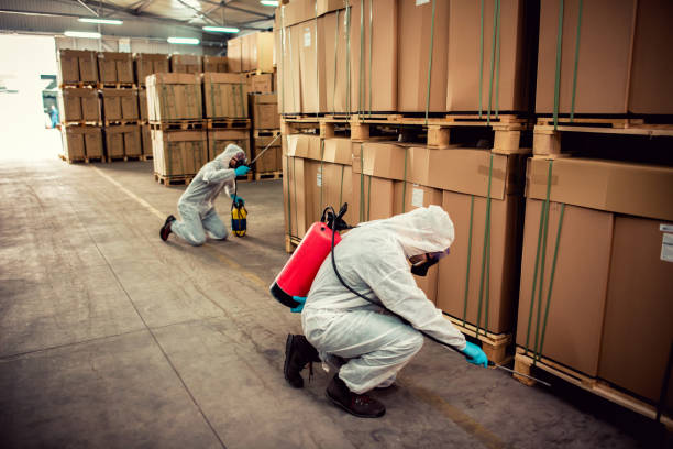 Best Pest Control Cost  in Seymour, TX