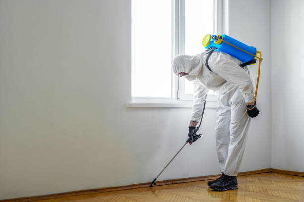 Best Insect Control  in Seymour, TX