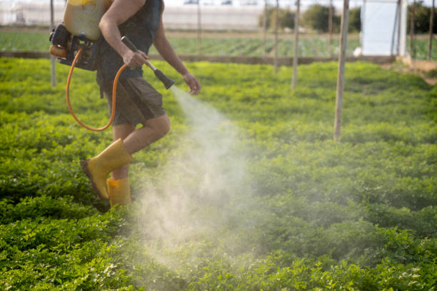 Best Affordable Pest Control Services  in Seymour, TX