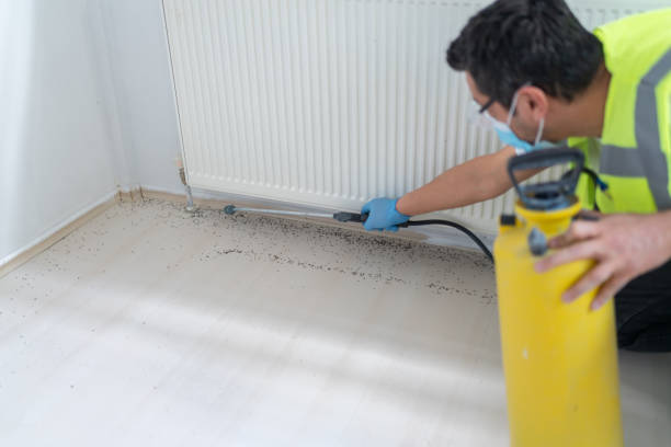 Best Pest Control Treatment  in Seymour, TX